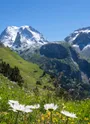 Pralognan-la-Vanoise sentier balcon Bochor