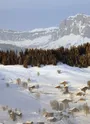 Du Lachat au Planay