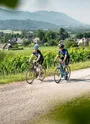 vélo vignoble