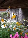 Bramans - Le Chatel