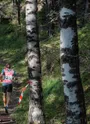 Trail à La Norma dans la forêt