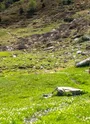 Traileur sur une sentier de Haute Maurienne Vanoise