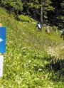 enduro bleu d'évita carnea