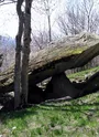 Le Domaine du Thyl et le Bois Dessus