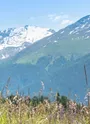 Champs de fleurs au départ de Aussois Plan de la Croix