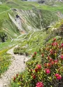 chemin qui redescend du col des sarrasins