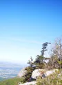En montant à Roche Veyrand