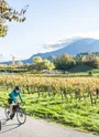 Vignobles du Coeur de Savoie