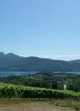 Vignoble et vue sur le lac du Bourget