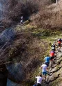 Parcours de l'Olympe