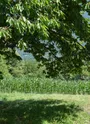 Beauchamp Saint-Leger