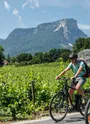 Dans les vignes de Myans