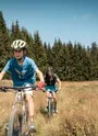Piste VTT FFC rouge 7 - La Féclaz