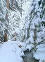Sentier le long du bief