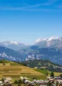 Contamines