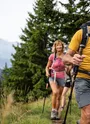 Marche en sortie de forêt
