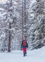 Raquettiste dans la foret sous la neige