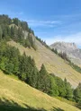 La tête du Treu