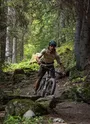 Vttiste dans la foret