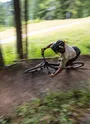 Vttiste sur module en bois au coeur de la foret