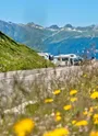 Cyclo Col du Petit St Bernard