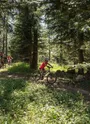 A travers bois VTT Savoie