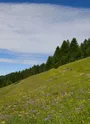 Le Tour de la Légette