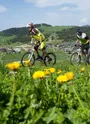 Parcours VTT FFC Les Alpages de Bisanne