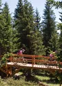 DH VTT Dré dans l'pentu