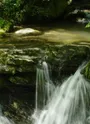 Le Gelon