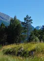 redescente dans la vallée