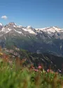 Mont Jovet A/R depuis Montangy la Thuile