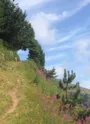 randonnée pédestres
