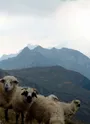randonnée pédestres