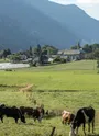 Sous Mollard