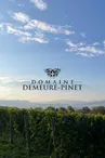 Cellier de Joudin - Domaine Demeure-Pinet