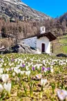 Chapelle du Monal