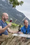Domaine Berthollier