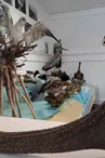 Musée Lac et Nature