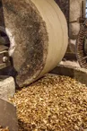 Moulin à huile de Chanaz