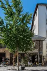 La Forge des Halles