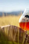 Brasserie Caquot : Bière OURS