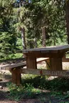 Table de pique-nique à la Tourbière du Lac Noir