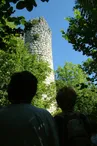 Les ruines du château de Mauchamp