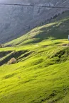 Alpage le Chalet Blanc