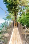Le Nid des Aigles - Passerelle dans les arbres