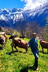 GAEC des Ardoisiers