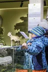 Muséum des Animaux de Montagne