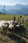 La Bergerie de l'Etoile