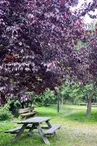 Aire de pique-nique des jardins de la Mairie